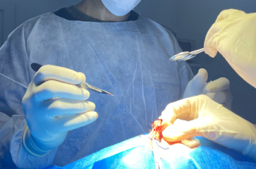 Cirurgia Dermatológica
